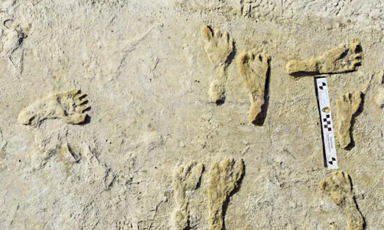 South African Human Fossils More Than a Million Years Older Than Previously Thought