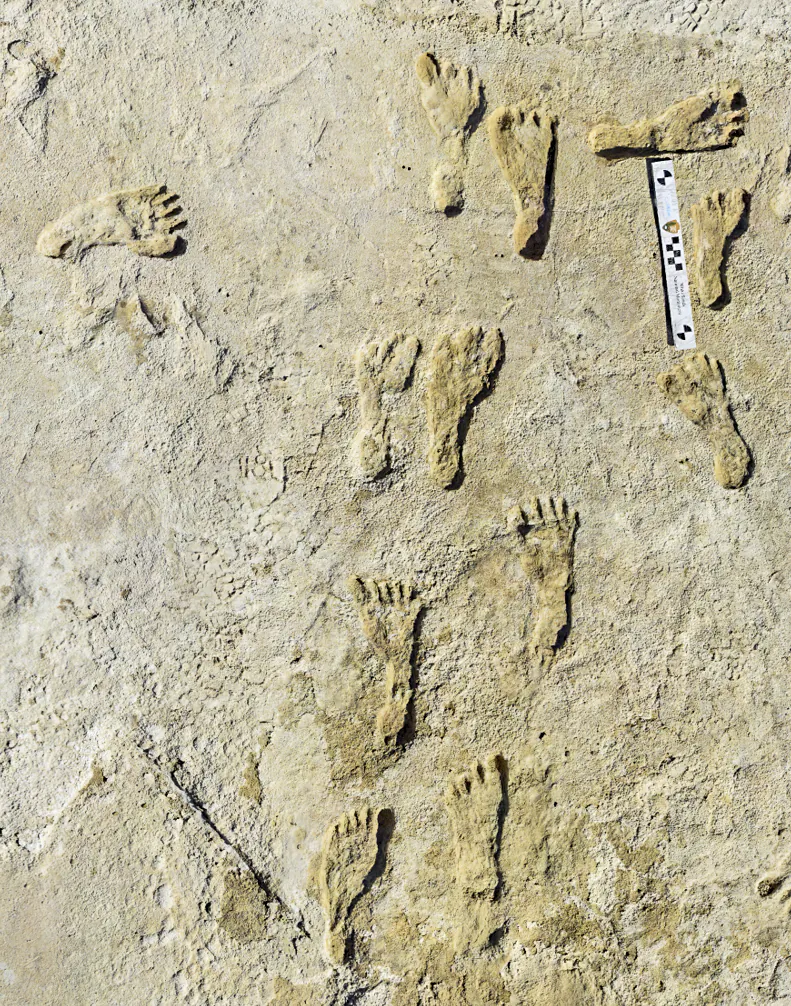 This undated photo made available by the National Park Service in September 2021 shows fossilized human footprints at the White Sands National Park in New Mexico. (NPS via AP Photo)