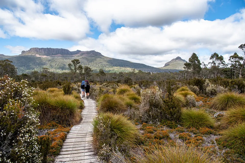 Walking track in Tasmania, Australia on Dec. 10, 2018. (Photo by pen_ash/pixabay)