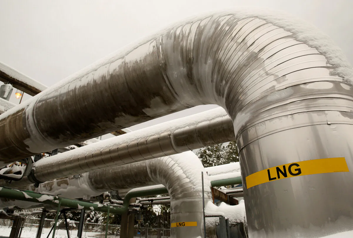 Snow covered transfer lines are seen at the Dominion Cove Point Liquefied Natural Gas (LNG) terminal in Lusby, Maryland, on March 18, 2014. (Gary Cameron/
Reuters)