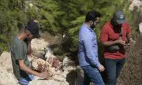 5 Killed, 2 Injured in Raids on Hamas Terrorists in West Bank, Says Israel, Citing Immediate Threats