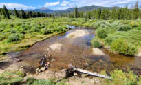 A 75th Birthday Hike With Smokey Bear