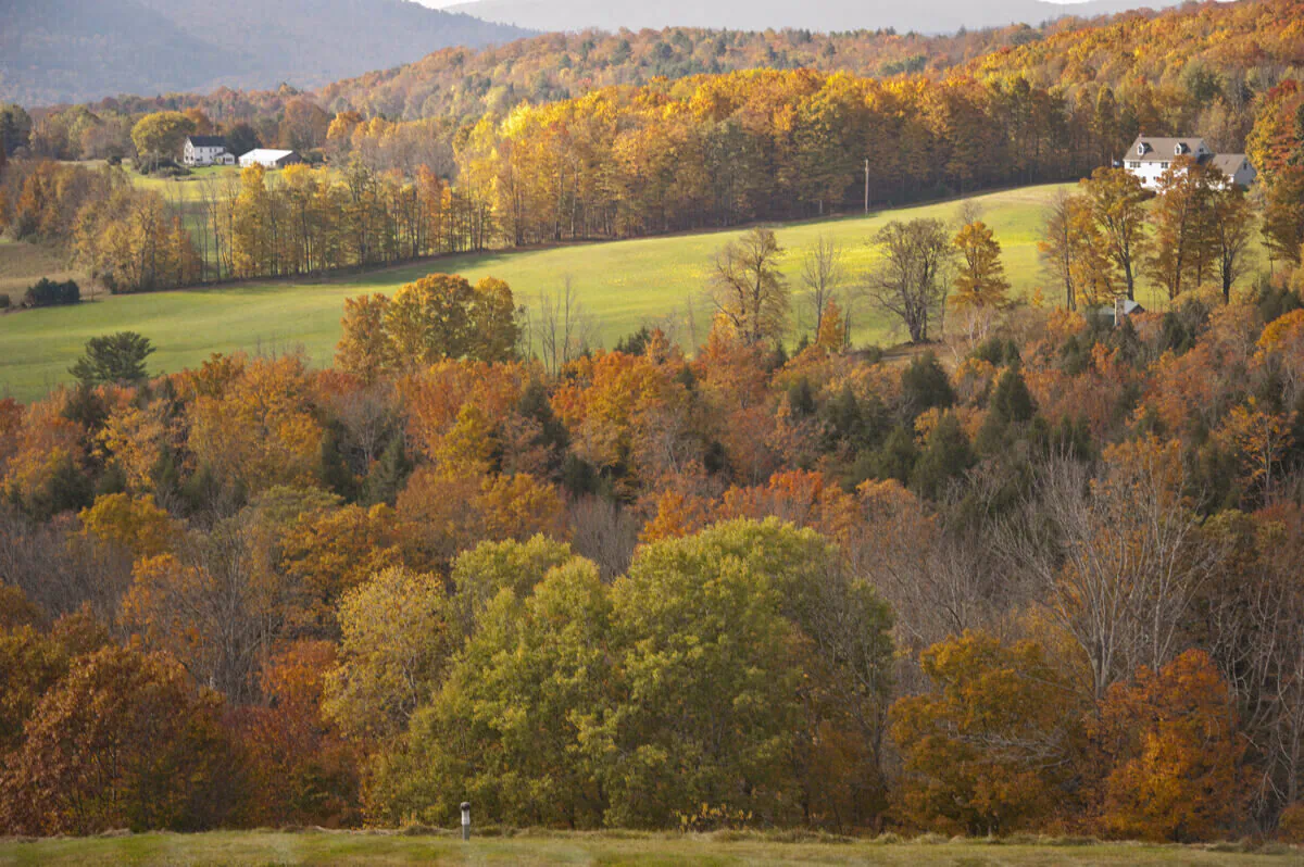 Enjoy music to match the autumn landscape. (Cat Rooney)
