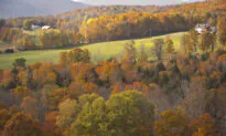 The Musical Leaves of Autumn: A Short Playlist