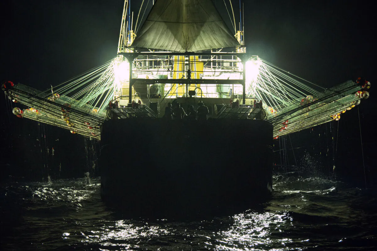 A Chinese-flagged ship fishes for squid at night on the high seas off the west coast of South America, on July 2021. (Isaac Haslam/Sea Shepherd via AP)
