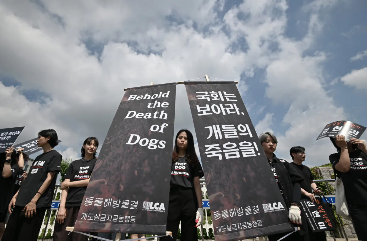 South Korean animal rights activists hold banners during a protest against the dog meat trade in Seoul, South Korea, on July 12, 2019. (Jung Yeon-je / AFP / Getty Images)