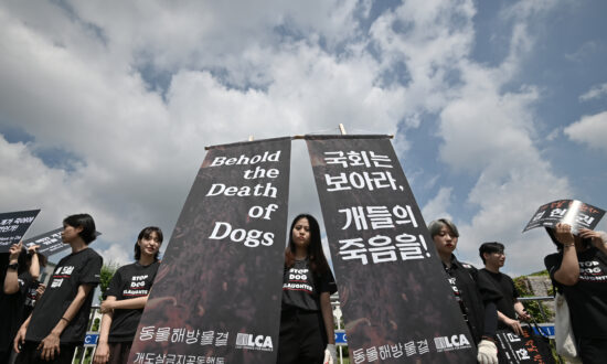 South Korean President Suggests Banning Dog Meat