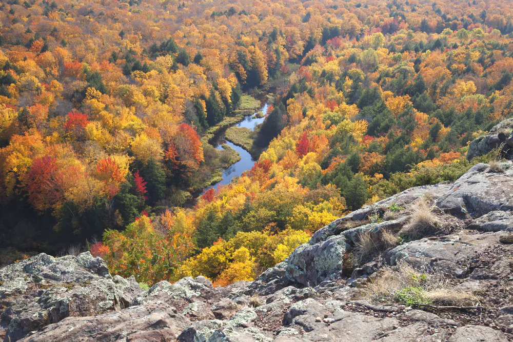 A river snakes through the wilderness. (Dan Thornberg/Shutterstock)