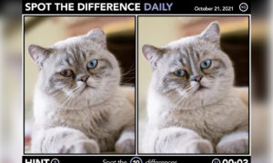 Spot the Difference Daily