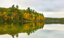 Truth Tellers: Henry David Thoreau and the ‘Essential Truth’
