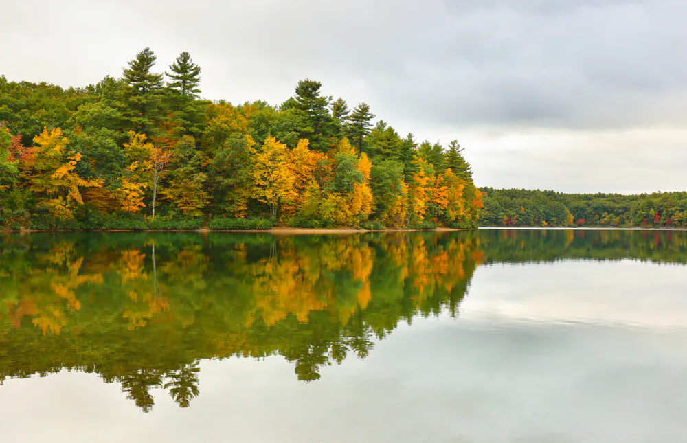 Thoreau saw God in the beauty of nature. Walden’s Pond, in Concord, Massachusetts, is featured in his writings. (Jay Yuan/Shtterstock)