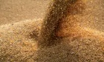 US Soy Exports Hit 6-Month High as Gulf Loadings Rise After Ida; Lag Year Ago Pace