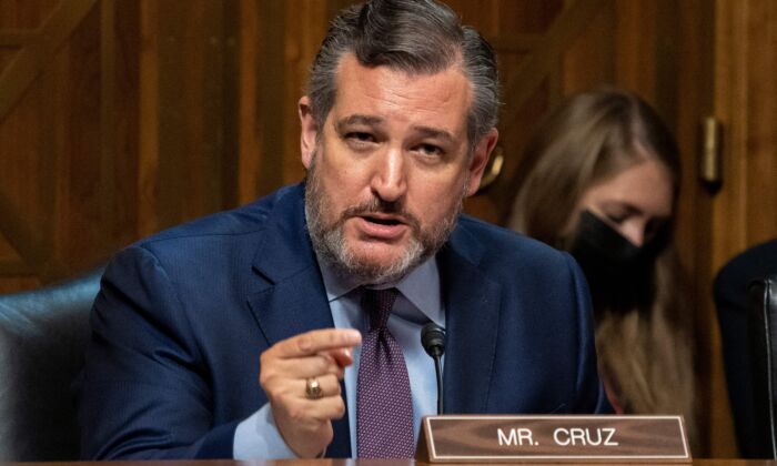 Sen. Ted Cruz (R-Texas) asks questions during a Senate Judiciary Subcommittee on Competition Policy, Antitrust, and Consumer Rights, at the U.S. Capitol in Washington on Sept. 21, 2021. (Ken Cedeno/AFP via Getty Images)