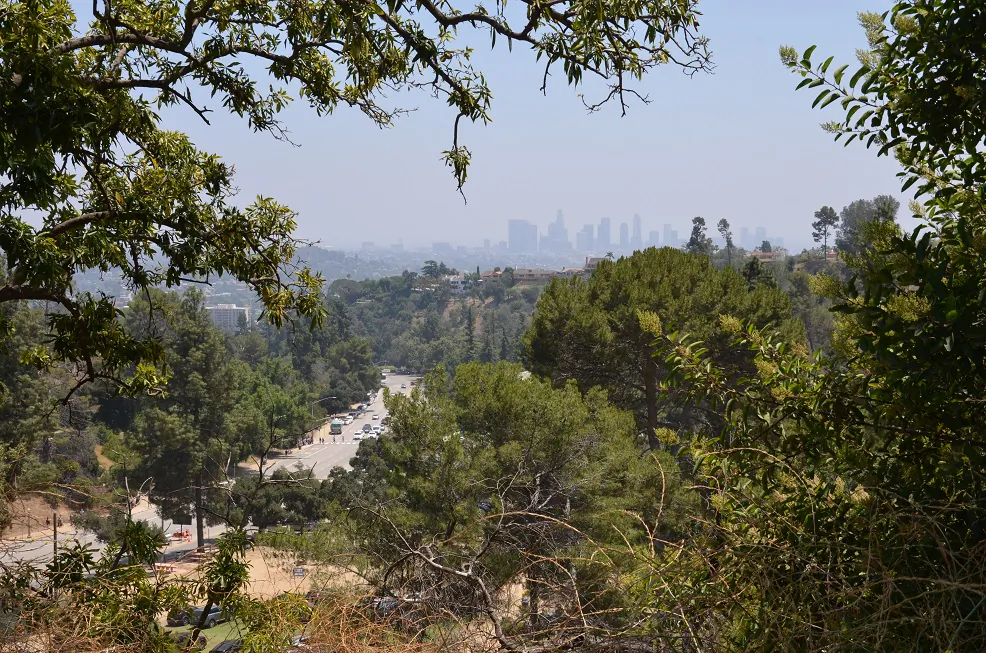 View of Los Angeles from Griffith Park on July 5, 2019. (Steven Lek via Wikimedia Commons/CC BY-SA 4.0)
