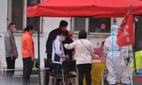 Pet Cats Killed in Chinese City After COVID Infection, Triggering Social Media Anger