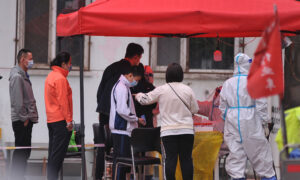 Pet Cats Killed in Chinese City After COVID Infection, Triggering Social Media Anger