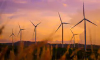NSW Aims to Halve Emissions by 2030 as Energy Concerns Mount