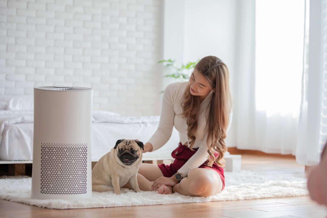 Air purifiers offer an easy and convenient way to immediately improve the quality of indoor air. (Yuttana Jaowattana/Shutterstock)