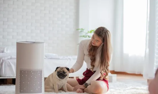 Cleaning Indoor Air Can Limit Viral Exposure