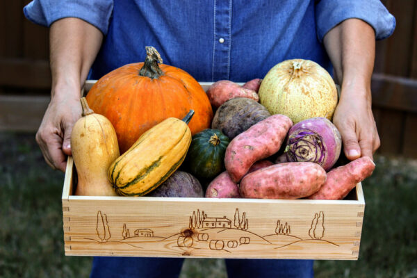 Farm,Share,Box,,Community,Supported,Agriculture,(csa),Box,,Fall,Vegetables