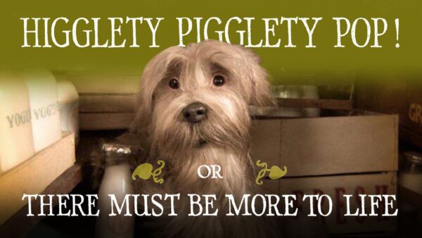 Higglety pigglety pop or there must be more to life