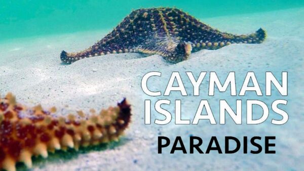 CAYMAN ISLANDS: PARADISE