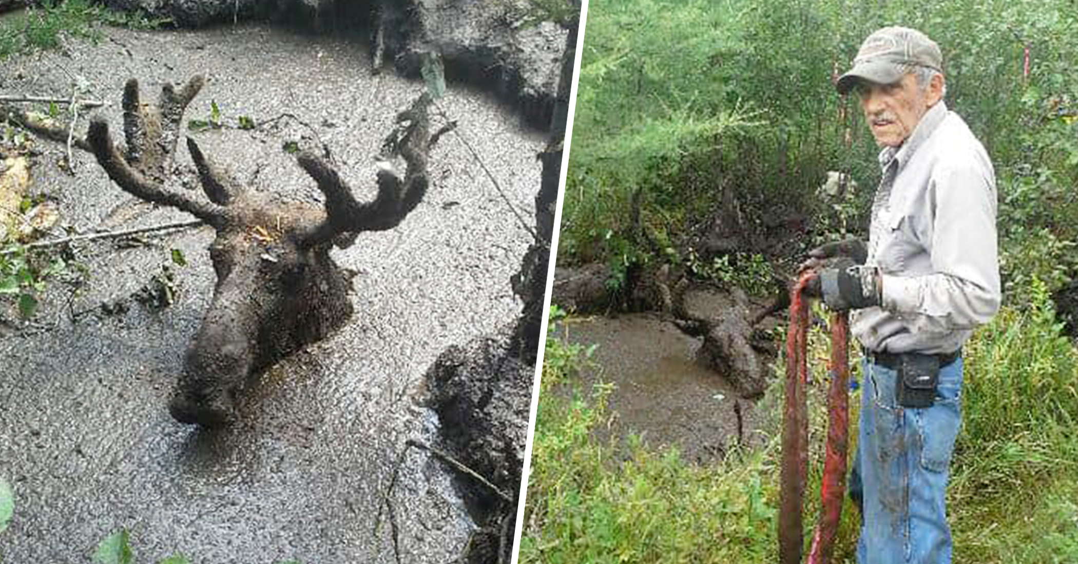 Moose Mountain Mud Jobs