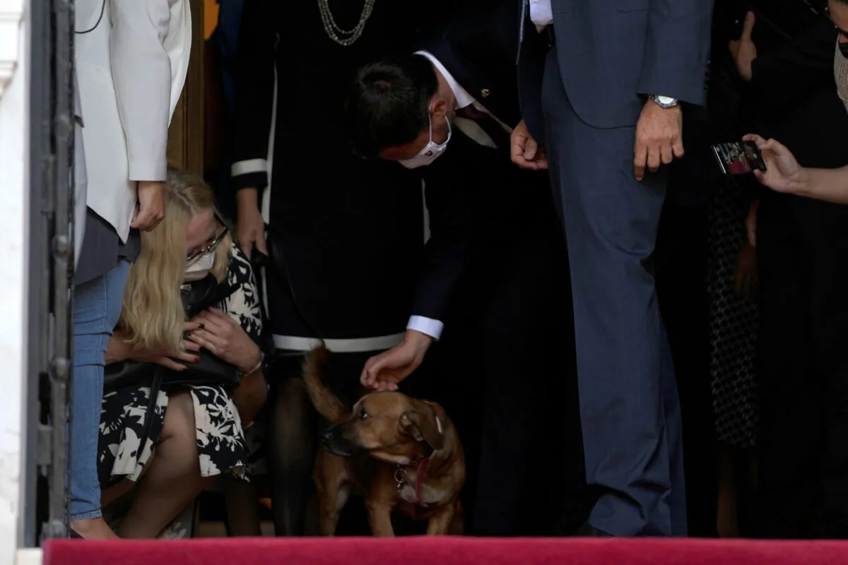Slovakia's Prime Minister Eduard Heger pats Peanut the dog of his Greek counterpart Kyriakos Mitsotakis as they leave Maximos Mansion in Athens on Sept. 30, 2021 (Thanassis Stavrakis/Photo via AP)