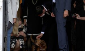 Top Dog: Greek Leader’s Pet Interrupts News Conference thumbnail