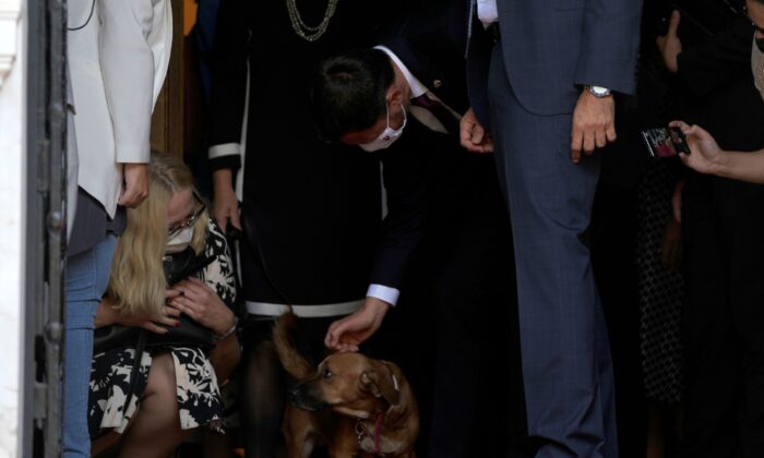 Slovakia's Prime Minister Eduard Heger pats Peanut the dog of his Greek counterpart Kyriakos Mitsotakis as they leave Maximos Mansion in Athens on Sept. 30, 2021 (Thanassis Stavrakis/Photo via AP)