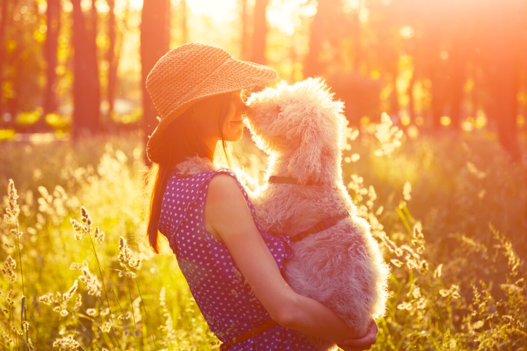 Sunlight has a direct effect on our circadian rhythm and the mood centers in the brain. (Alina Kruk/Shutterstock)