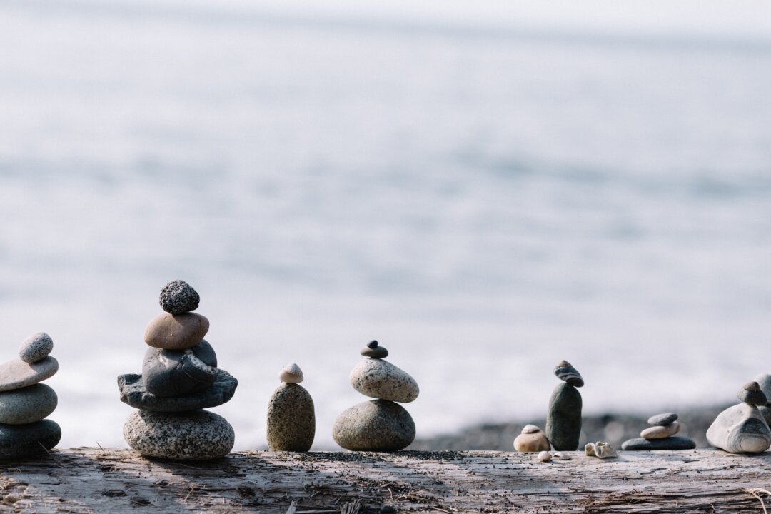 Remember treasure-hunting for interesting rocks as a child? This great hobby puts us in touch with nature on a search for a piece of geological history. (Patrick Fore/Unsplash)