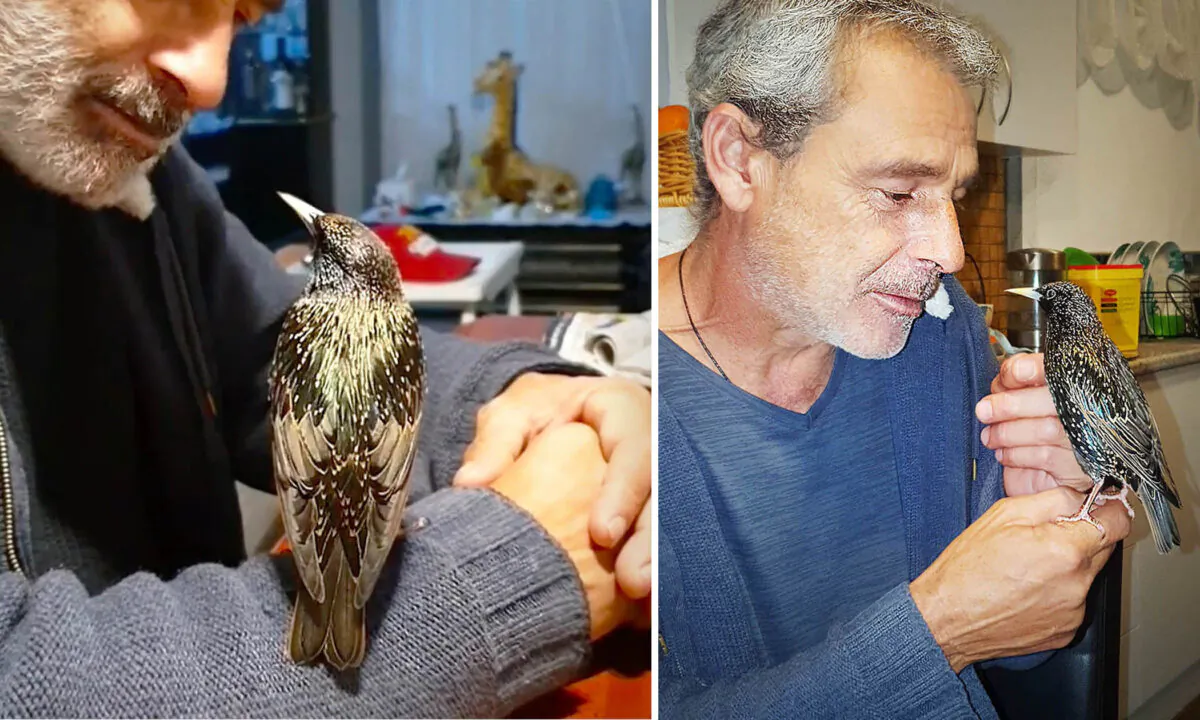 Left: (Screenshot/ViralHog); Right: (Courtesy of ﻿Sharon Cahoon)