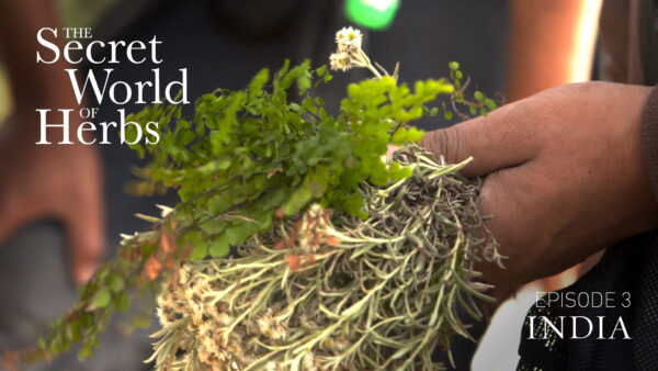 The Secret World of Herbs: In the Balkans (Episode 2)