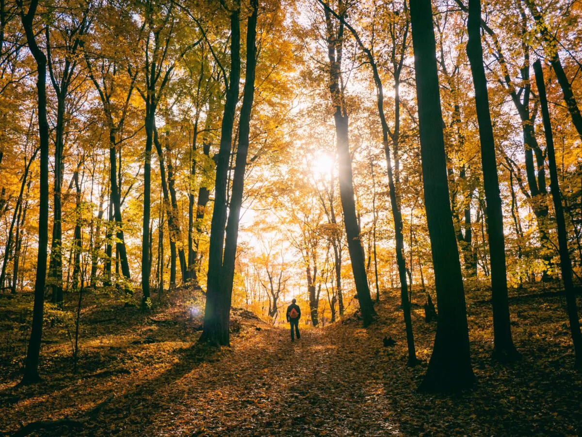 (Aaron Burden/Unsplash)
