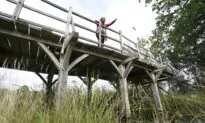 ‘Winnie-the-Pooh’ Bridge Seen Selling up to $80,000 at Auction