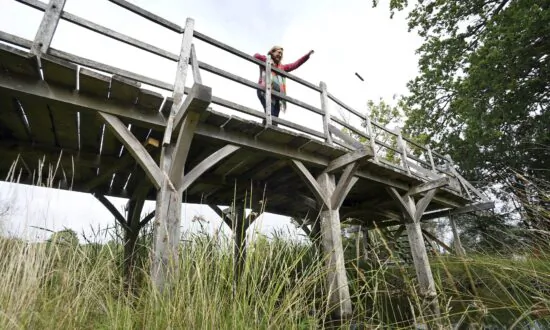 Pivotal Bridge From Winnie the Pooh Series to Be Auctioned