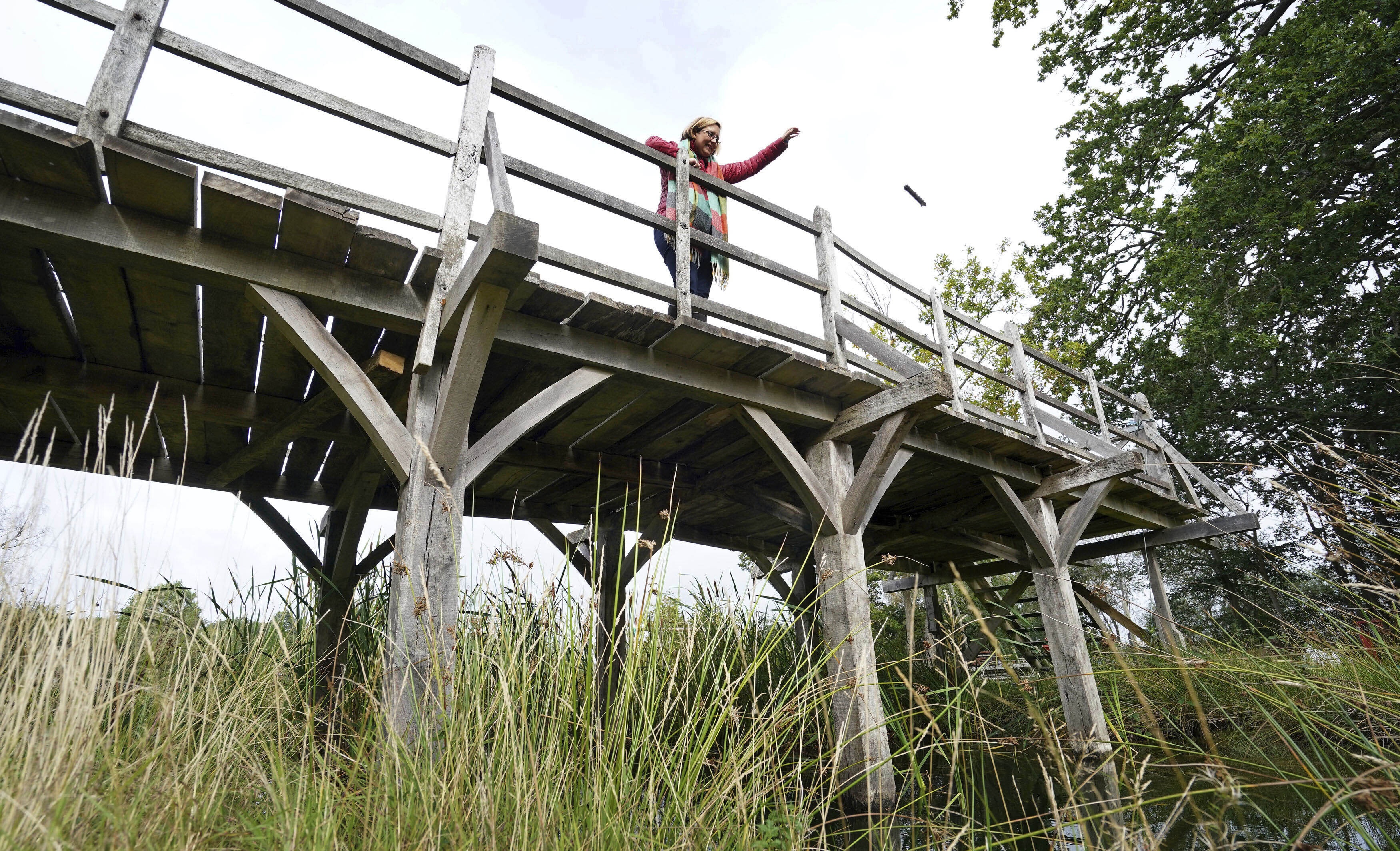 'Winnie-the-Pooh' Bridge Seen Selling up to $80,000 at Auction - Vimarsana News