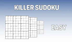 Killer Sudoku Easy Central