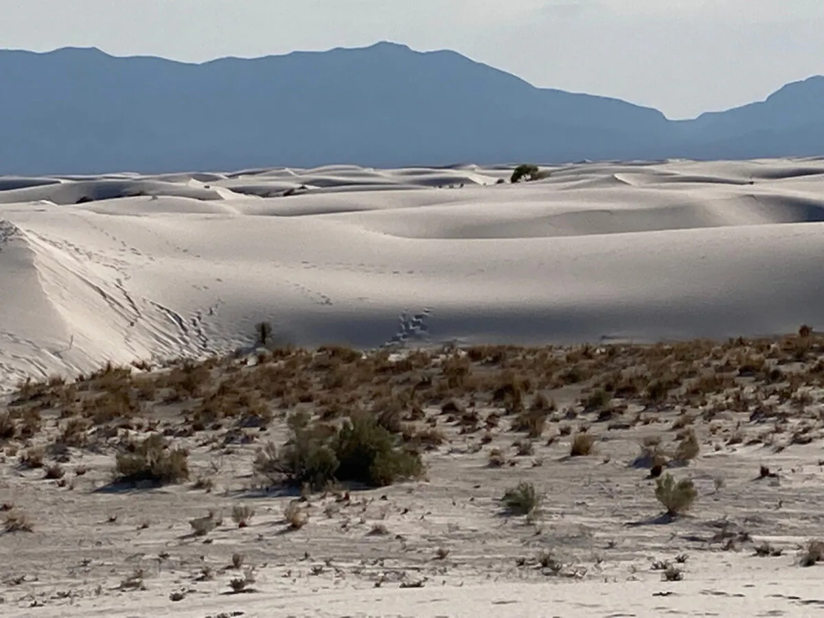 New Mexico's Alamogordo White Sands National Park is the largest gypsum field in the world. (Bill Neely)