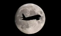 Airlines See Sharply Lower Losses in 2022, Recovery in Sight