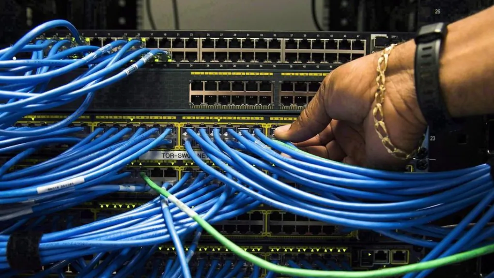 Networking cables in a server bay are shown in Toronto on November 8, 2017. (The Canadian Press/Nathan Denette)