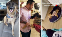LA Man Suffers Depression After Losing Right Leg—Until Dog Who Lost His, Too, Brings New Joy