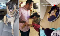 LA Man Suffers Depression After Losing Right Leg—Until Dog Who Lost His, Too, Brings New Joy