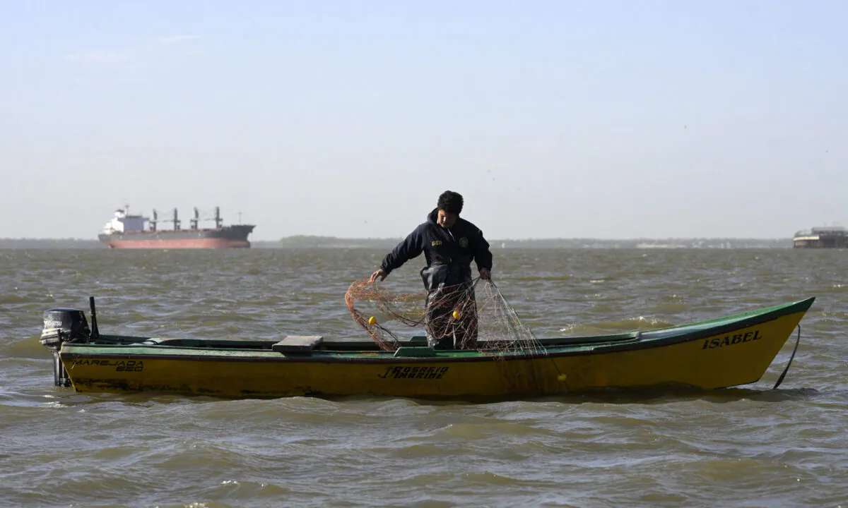 An artisanal fisherman lifts his 200 metre-long fishing net on the Parana River, off the coast of Rosario, Santa Fe, Argentina, on Aug. 23, 2021. (Juan Mabromata/AFP via Getty Images)