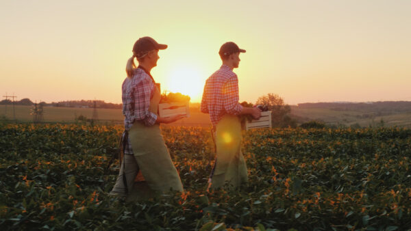 Two,Farmers,Man,And,Woman,Are,Walking,Along,The,Field,