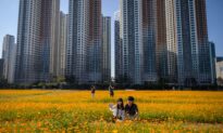 Chinese Man Acquires Upscale South Korean Real Estate Amid Restrictive Loan Measures