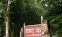 Trump Admin Removes National Park Exhibits That ‘Disparage Americans’