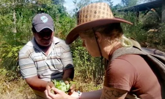 In Bolivia, Coca Farmers Find Exploitation Replaces Abuse