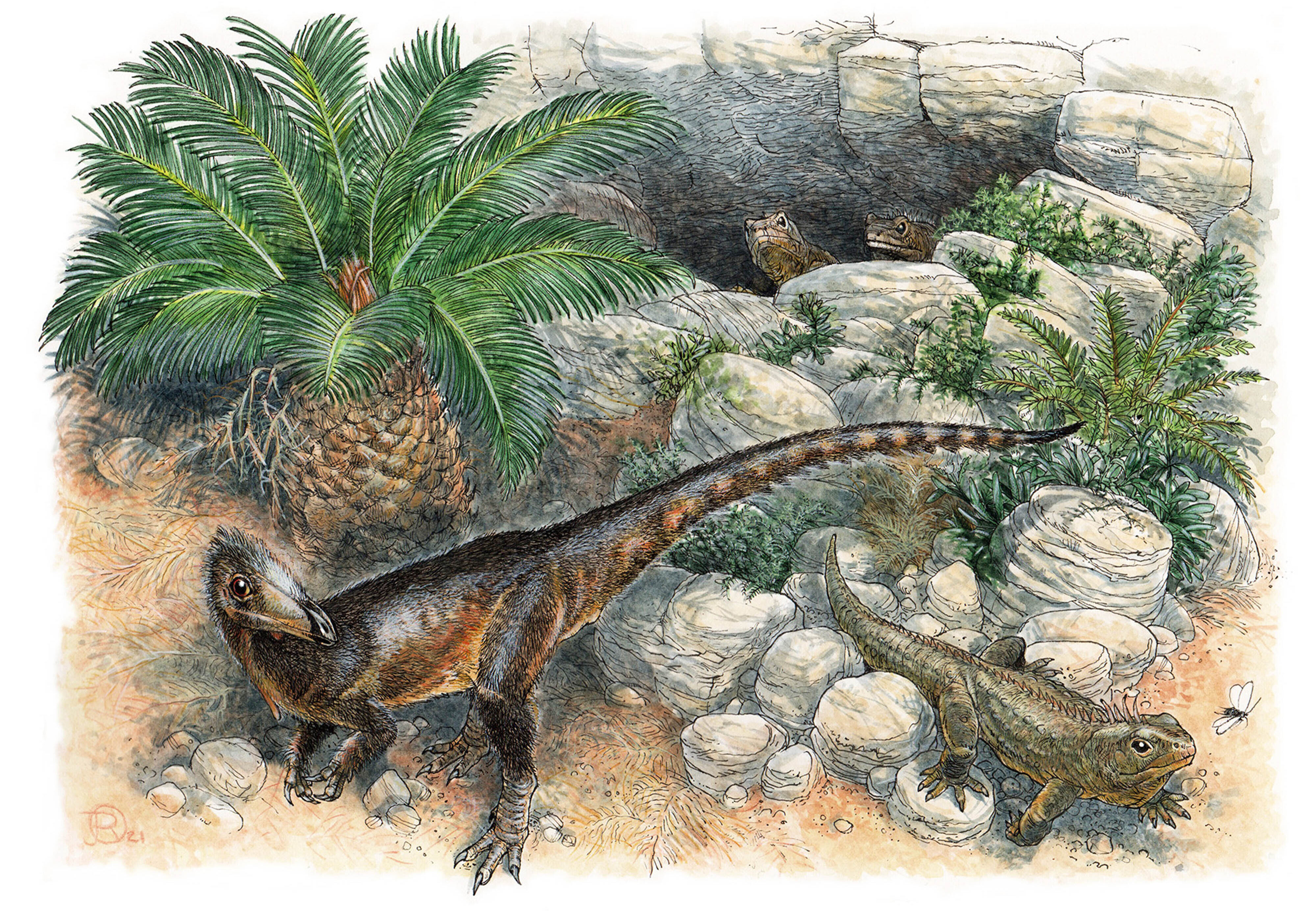 meat-eating-dinosaur-1-e1633639930950.jp